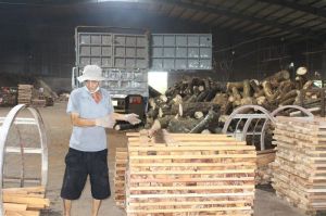 Xuất khẩu lo giảm tốc