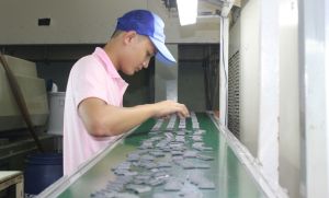 Vietnamese enterprises realize dual goals