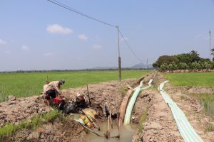 Need large capital investment for irrigation