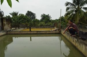 Vượt khó làm giàu chính đáng