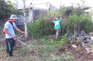 Hiệu quả của chiến dịch Ngày cuối tuần phòng chống sốt xuất huyết.