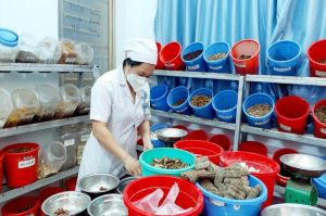 Toàn tỉnh Đồng Nai có 905 loài cây thuốc