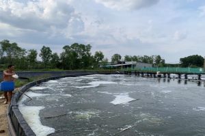 Safe aquaculture development