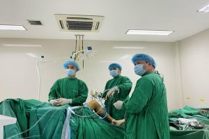 Kỹ thuật cao tái tạo dây chằng chéo bị đứt cho bệnh nhân