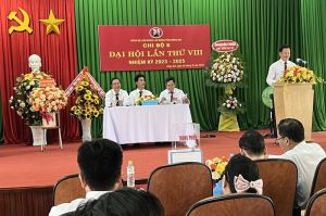 Phấn đấu là một trong ba trường nhóm đầu khối cao đẳng, trung cấp do Tổng LĐLĐ Việt Nam quản lý