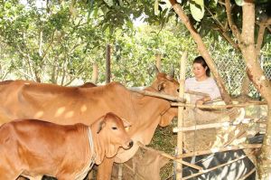 Hỗ trợ người dân tự tạo việc làm