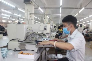 Opportunities from new generation free trade agreements
