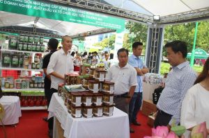 Dong Nai participates in the program to connect trade with distributors and exporters in Ho Chi Minh City