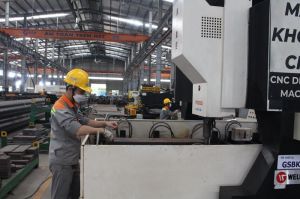 Dong Nai economy towards green and sustainable development