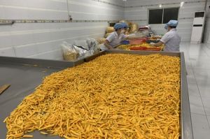 Cần sự hỗ trợ để liên kết chế biến, tiêu thụ nông sản