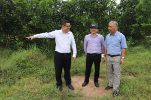 Huyện Nhơn Trạch tách thửa đất cho hơn 2,8 ngàn hồ sơ