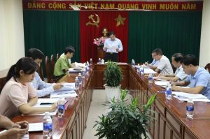 Chuyển đổi đất rừng làm cầu Phước An