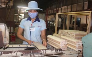 High growth in export wood industry