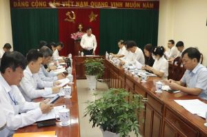 Theo kế hoạch sẽ đấu giá 15 khu đất