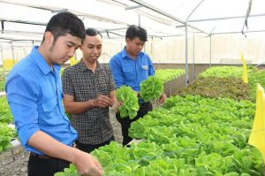 Phát triển nông nghiệp công nghệ cao ở đô thị Tây Nam tỉnh