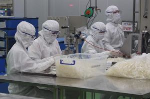 Doanh nghiệp tư nhân tăng đầu tư vào sản xuất kinh doanh