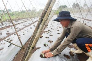 Thắp sáng khát vọng làm giàu từ rẫy đá