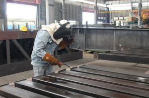 Dong Nai seeks solutions to improve competitiveness index