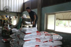 Localization of feed ingredients is still a big issue