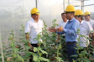 Đề xuất hỗ trợ 50% chi phí phân bón và thuốc bảo vệ thực vật cho dự án nông nghiệp hữu cơ