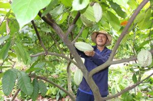 When farmers join the link chain, big field