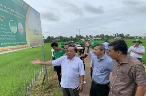 Enterprises associate with farmers for organic farming and breeding