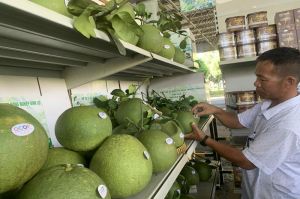 Xây dựng hệ sinh thái để hình thành lớp nông dân chuyên nghiệp