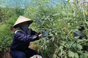 Xuân Lộc nỗ lực hoàn thành mục tiêu huyện nông thôn mới kiểu mẫu