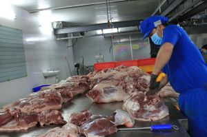 Đảm bảo nguồn gốc thực phẩm từ thịt cho bếp ăn công nghiệp