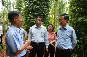 Nông dân xây dựng nông thôn mới