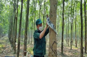 Vững tin ở vùng đất mới