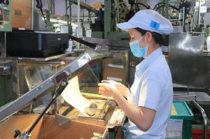 Dong Nai will be the industrial center of Southeast Asia