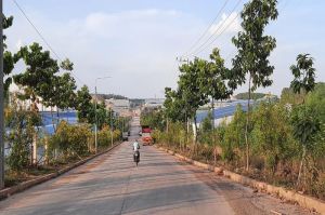 Đồng Nai tìm hướng phát triển bền vững cụm công nghiệp