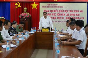 Nhiều dự án điện bị chậm tiến độ vì mặt bằng