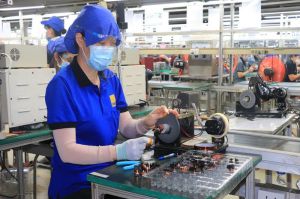 Dong Nai has a trade surplus equal to 66% of the whole country