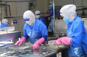 Enterprises in Dong Nai built successful brands