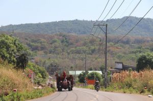 Will auction more than 208ha of land in Cam My District