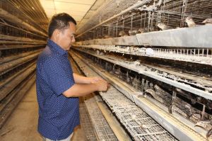 Người tiêu dùng cần doanh nghiệp minh bạch thông tin