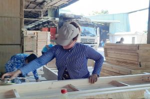 Many growth opportunities thanks to EVFTA