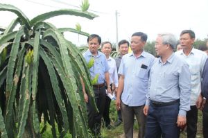 Focus on developing the link chain to raise the level of local goods