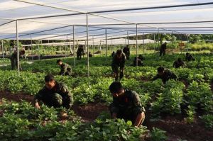 Học tập và làm theo Bác ở đơn vị “Binh chủng thép”