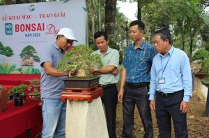 Hơn 100 gian hàng tham gia Chợ phiên sinh vật cảnh Trấn Biên 2022