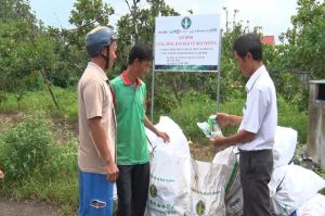 Toàn tỉnh có 500 điểm thu hồi chất thải nguy hại