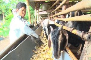 Thoát nghèo bền vững nhờ nguồn vốn chính sách