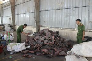 Cơ sở tái chế phế liệu có dấu hiệu vi phạm môi trường