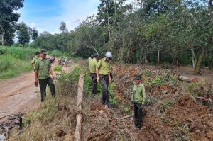 Người dân nhận khoán phải tuân thủ quy chế quản lý rừng phòng hộ