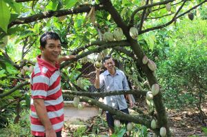 Xã Trung Hòa dẫn đầu nông thôn mới kiểu mẫu tại Trảng Bom