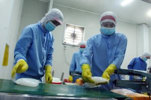 Entering production season for Tet holidays