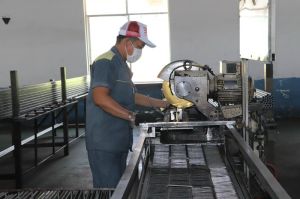 Export of machinery and equipment is more than USD 2 billion