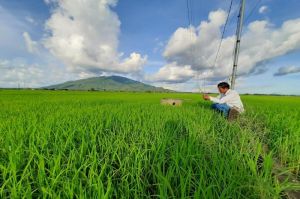 The aspiration to make delicious rice of Excellent Farmers of Vietnam 2022
